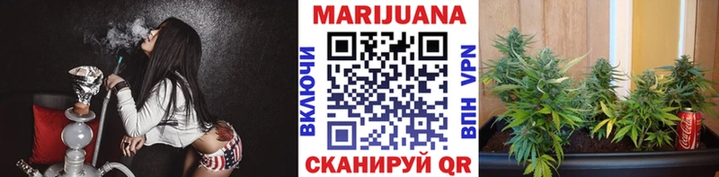 Купить закладки  Вышний Волочёк  Марихуана Amnesia 